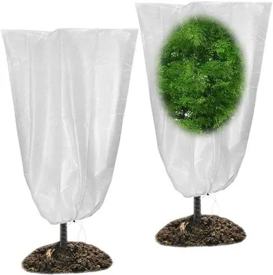 Immagine prodotto di Coperture protettive per piante, 100 x 80 cm - Protezione delle piante dal gelo - Per uso esterno - Adatte per ulivi, palme e agrumi
