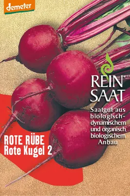 Produktbild von Rüben Rote Kugel 2 | Rote Beetesamen von Reinsaat