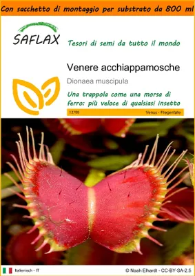 Immagine prodotto di SAFLAX Garden in the bag - Venere acchiappamosche - 10 semi - Dionaea
