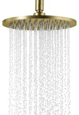 Regendusche rund 20,3 cm gebürstet Gold 360° verstellbar Edelstahl