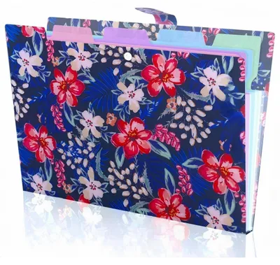 Produktbild von Fächermappe A4 mit 5 Taschen, erweiterbar, Druckknopfverschluss, wasserdicht, buntes Design