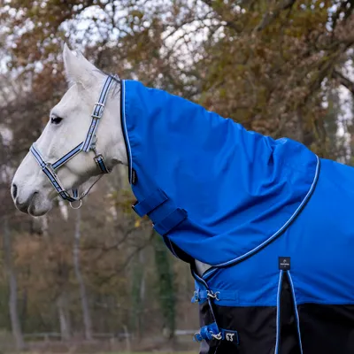 Produktbild von Equithème TYREX 1200 D Halsteil 200g - Blau/Schwarz