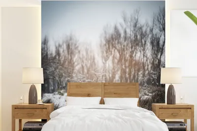 Produktbild von MuchoWow® Fototapete für Wohnzimmer oder Schlafzimmer Wandtapete Vinyl Motivtapete Schottischer Highlander - Schnee - Wald - 240x260 cm - Tapezier Papier