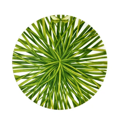 Produktbild von TAITÙ Life in Green Obst Dessertteller 21 cm