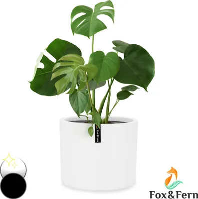 Image de Fox & Fern Pot de Fleur Interieur et Extérieur, Jardinieres Exterieur, Pot Plante Résistant UV et Gel avec Bouchon de Drainage, Fiberstone, Jardiniere, Pot de Fleur Exterieur Grande Taille, Pot Unique