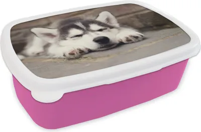Produktbild von KitchenYeah® Lunchbox Brotzeit Brotdose 17x11 cm Husky-Welpe schläft Kinder Brotzeitdose - Lunchpaket - Brotkasten  - Sandwich Box