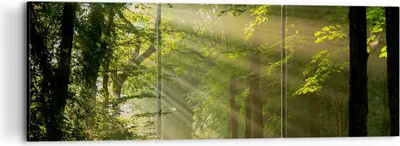 Produktbild von Bild auf Leinwand - Leinwandbild - Wald Baum Natur - 120x40cm - Wand Bild - Wanddeko - Wandbilder - Leinwanddruck - Bilder - Kunstdruck - Wanddekoration - Leinwand bilder - Wandkunst - CA120x40-3661