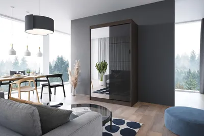 Zdjęcie produktu dla Stylowa szafa przesuwna LOKO4 120cm kolor wenge - fronty duże lustro + szkło lacobel w 3 kolorach do wyboru, w komplecie z półkami i drążkiem