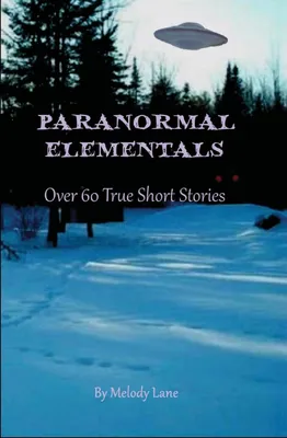 Produktbild von Paranormale Elementarentitäten