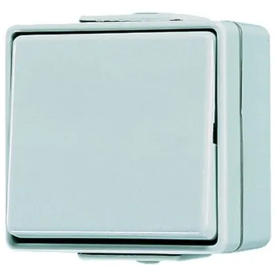 Immagine prodotto di JUNG WG600 Interruttore universale a superficie 606W, commutatore off grigio IP44