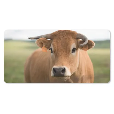 Produktbild von MuchoWow® Schreibtischunterlage Kuh - Horn - Porträt 80x40 cm - XXL Mauspad - Gaming Mauspad