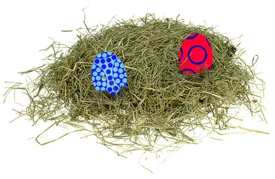 Produktbild von Ostergras grün 50 g Holzwolle Dekogras Osterdeko Osternestfüllung Bastelmaterial Osterkorb Füllung Frühlingsdeko