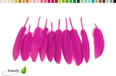 Produktbild von 10 Entenfedern ca. 10-15cm, Farbauswahl:fuchsia / magenta 183D