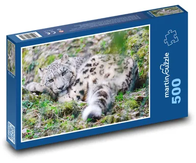 Obrázok produktu pre martinpuzzle – Puzzle 500 – Relaxujúci leopard