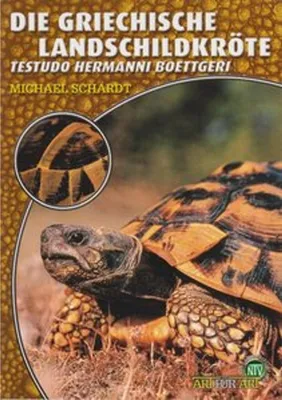 Produktbild von Die Griechische Landschildkröte