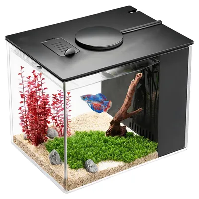 Productafbeelding van Complete aquariumset met zijfilter en pomp, 20 x 15 x 15 cm