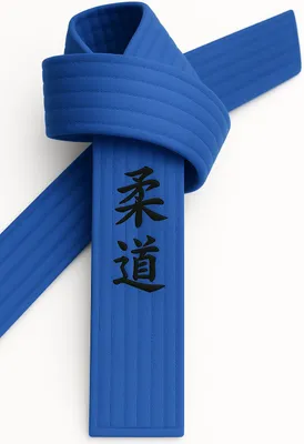 Produktbild von Ju Jutsu Gürtel Blau bestickt - Ju Jutsu Schriftzeichen japanisch - Blaugurt mit Kanji Bestickung - 330 cm Länge
