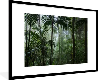 Produktbild von MuchoWow® Gerahmtes Poster Regenwald - Tropisch - Dschungel - Bäume - Pflanzen 90x60 cm - Poster mit Schwarzem Bilderrahmen Wandposter Rahmen Foto Bilder - Wanddekoration - Fotos