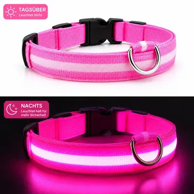Produktbild von LED Hundehalsband USB aufladbar reflektierend Leuchthalsband verstellbar S–XL für Hunde Nacht Sicherheit inkl. Ladekabel Gr. S (34 - 41cm) - PINK