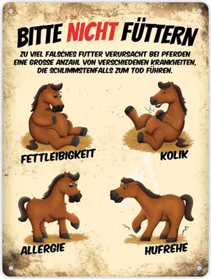 Produktbild von Metallschild XL mit Pferde Motiv und Spruch: Bitte nicht füttern Schild