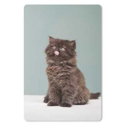 Produktbild von MuchoWow® Mauspad Mousepad Kätzchen - Perserkatze - Zunge - Mädchen - Kinder - Jungen - Kinder 18x27 cm - Mousepads - Maus Mat - Pad - Mausunterlage