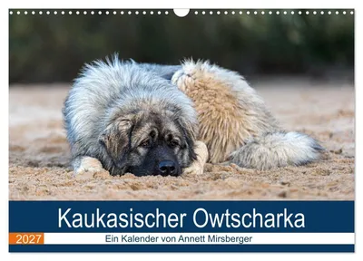 Produktbild von Kaukasischer Owtscharka (Wandkalender 2027 DIN A3 quer), CALVENDO Monatskalender