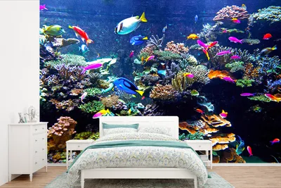 Produktbild von MuchoWow® Fototapete für Wohnzimmer oder Schlafzimmer Wandtapete Vinyl Motivtapete Koralle - Fische - Aquarium - 330x220 cm - Fototapeten