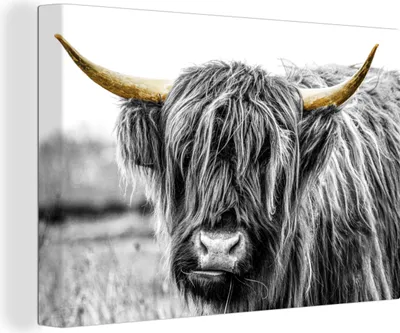 Produktbild von OneMillionCanvasses® - Leinwandbilder - 150x100 cm, Schottisches Hochlandrind - Hörner - Gold - Schwarz, Wandbilder Wohnzimmer Hochland Rind - Tier Wanddekoration - Hochland Rind - Kuh - Gemälde auf