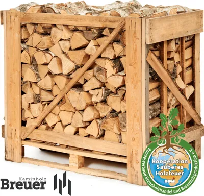 Produktbild von 1 RM PREMIUM Birken Brennholz | 25cm | kammergetrocknet | auf Palette | 500kg | Kaminholz | 1,6 SRM