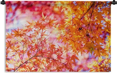 Produktbild von MuchoWow® Wandteppich Wandbehang Japanischer Ahorn mit Herbstfarben 150x100 cm Tapisserie Dekoration Wandtuch - Waschbar - Tapisserien - Wand-Decke