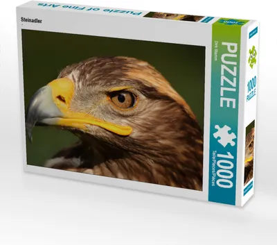 Produktbild von CALVENDO Puzzle Steinadler | 1000 Teile Lege-Größe 64x48cm Foto-Puzzle für glückliche Stunden