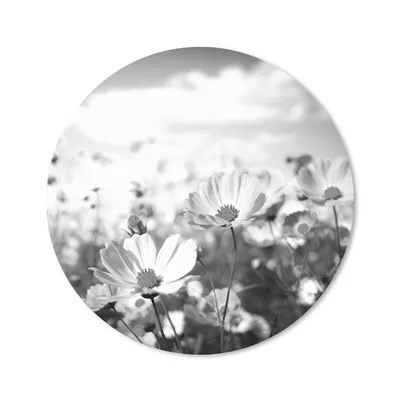 Produktbild von MuchoWow® Mauspad Mousepad Blumen - Wiese - Lila - Gras - Weiß - Wolken - Blau 20x20 cm - Mousepads - Maus Mat - Pad - Mausunterlage - Schreibtischmatte