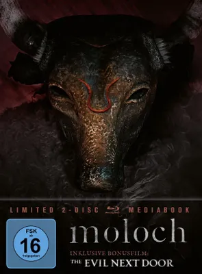Produktbild von Brink, N: Moloch
