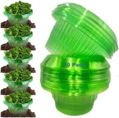 Produktbild von Schneckenschutz, 10 Stück Schneckenschutzringe für Ihre Salat- und Kohlpflanzen