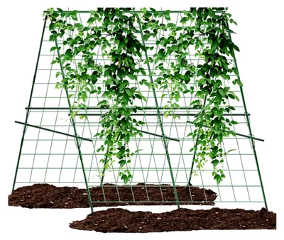 Produktbild von Rankgitter für Tomaten und Gurken, 120 cm x 120 cm, Set zur Rankhilfe für den Garten