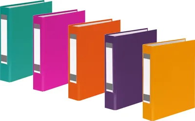 Produktbild von 5x Ringbuch mit Rückenschild / A5 / 2-Ring / je 1x lila,gelb,orange,türkis,pink