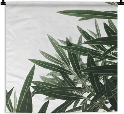 Produktbild von MuchoWow® Wandteppich Wandbehang Natur - Pflanzen - Blätter 150x150 cm Tapisserie Dekoration Wandtuch - Wohnaccessoires - Modernes