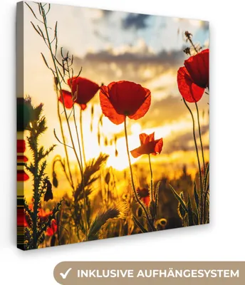 Produktbild von MuchoWow® - Leinwandbilder - Rote Mohnblumen bei Sonnenaufgang, Wandbild, Wanddeko Bilder Wohnzimmer, 90x90 cm