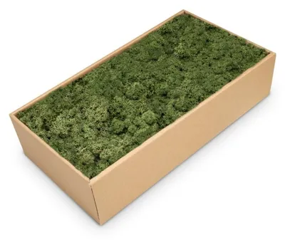 500 g Islandmoos moosgrün