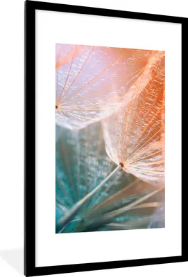 Produktbild von MuchoWow® Gerahmtes Poster Blume - Löwenzahn - Pflanze 60x90 cm - Poster mit Schwarzem Bilderrahmen Wandposter Rahmen Foto Bilder - Dekoration - Wandposter Wohnzimmer - Hochwertig