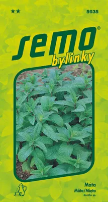 Obrázek produktu pro Máta peprná 500s
