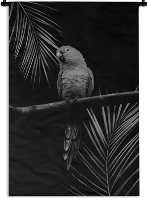 Produktbild von MuchoWow® Wandteppich Wandbehang Vogel auf schwarzem Hintergrund mit Palmzweigen - schwarz und weiß 90x135 cm Tapisserie Dekoration Wandtuch - Baumwolle - Wandskulptur