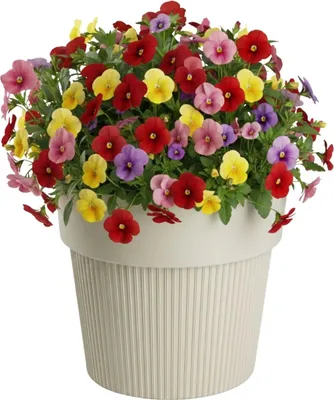 Produktbild von HowHomely | Blumentopf - Pflanzkübel - 17x20 cm - beige - aus Recyclingmaterial - Rillenstruktur - Pflegeleicht