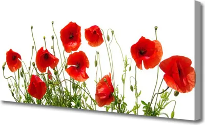 Produktbild von Tulup Leinwand-Bilder 125x50 Wandbild Canvas Kunstdruck Mohnblumen Pflanzen