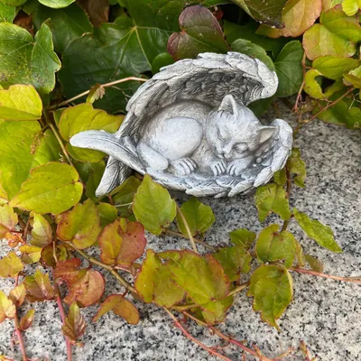 Produktbild von Tier-Grabschmuck - Kätzchen schlafend in Engelsflügeln