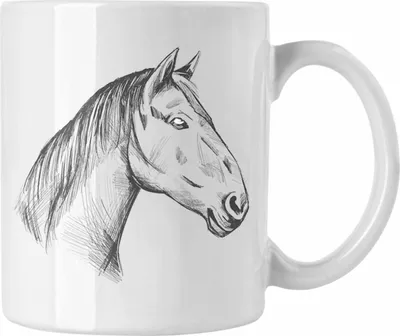 Produktbild von Pferde Tasse Lustig Reiterin Geschenk Pferde Geschenke Mädchen Pferdeliebhaber (Weiß)