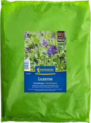 Produktbild von Kiepenkerl Saatgut Luzerne Medicago sativa für 250 m² 1 kg