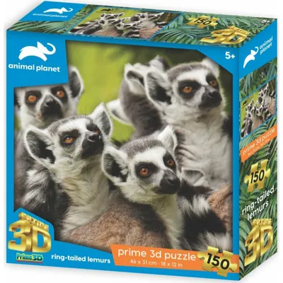 Produktbild von PRIME 3D Puzzle Tierplanet: kata lemur 3D 150 Teile