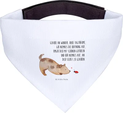 Produktbild von Mr. & Mrs. Panda Tuch Hund Marienkäfer - Weiß - Geschenk, Hunde Halstuch, Positiv, Mischling, Hundehalstuch, Mischlingshund, Für, Sprüche, Zuversichtlich, Mischlinghund