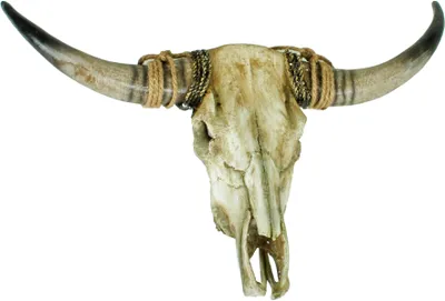 Produktbild von Garden Pleasure Geweih Bison braun aus Polyresin zum Aufhängen 3D Wanddeko - wetterfestes Material